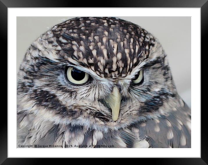 BEADY EYES Framed Mounted Print by Jacque Mckenzie