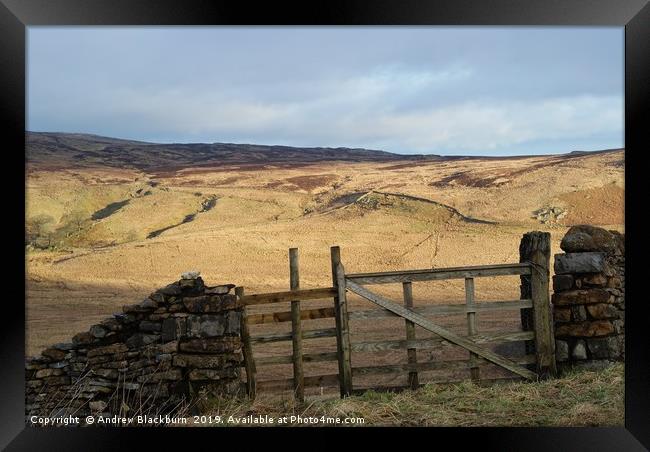 Gate with a view - on Shap Fell, Cumbria...  Framed Print by Andy Blackburn