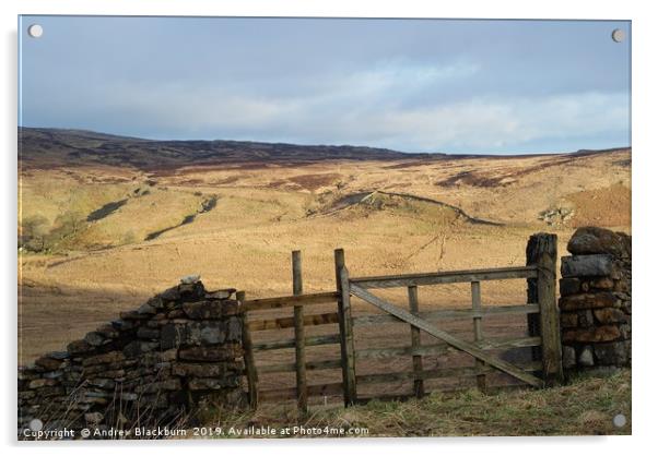 Gate with a view - on Shap Fell, Cumbria...  Acrylic by Andy Blackburn