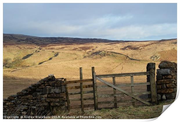 Gate with a view - on Shap Fell, Cumbria...  Print by Andy Blackburn