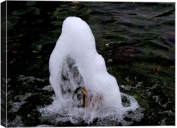 Water Foutain Canvas Print by Nigel G Owen