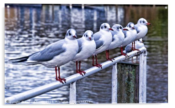 Six Seagulls on a handrail beside the water. Acrylic by Richard Smith