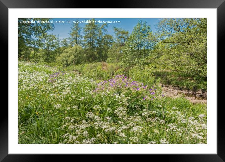 Teesdale Wild Flowers Framed Mounted Print by Richard Laidler
