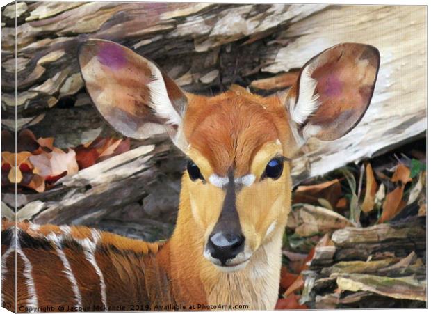 BAMBI Canvas Print by Jacque Mckenzie