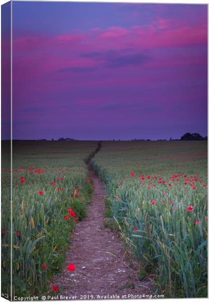 Purple sky and field of Poppies near Dorchester Canvas Print by Paul Brewer