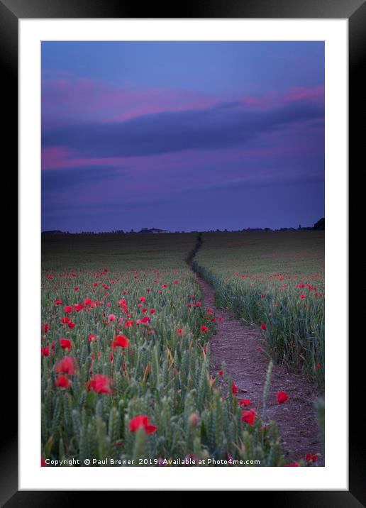 Poundbury Field of Poppies near Dorchester Framed Mounted Print by Paul Brewer