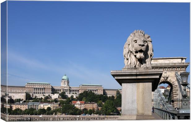 Buda castle and chain bridge lion statue Budapest Canvas Print by goce risteski