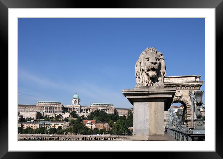 Buda castle and chain bridge lion statue Budapest Framed Mounted Print by goce risteski