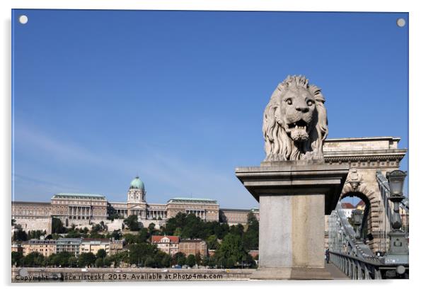 Buda castle and chain bridge lion statue Budapest Acrylic by goce risteski