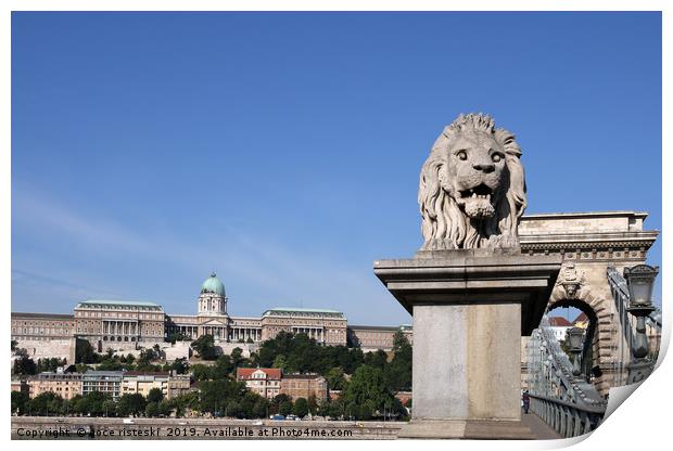 Buda castle and chain bridge lion statue Budapest Print by goce risteski