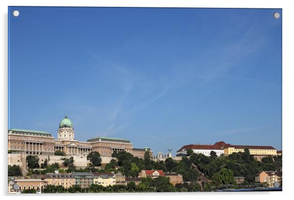 Buda castle on hill Budapest cityscape Acrylic by goce risteski