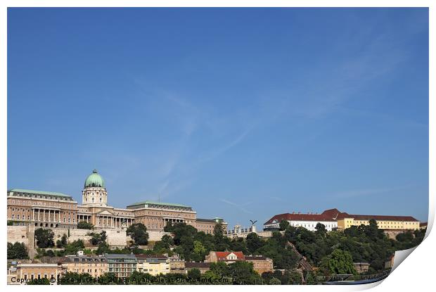 Buda castle on hill Budapest cityscape Print by goce risteski