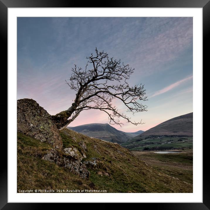 Tewet Lone Tree Sunrise Framed Mounted Print by Phil Buckle