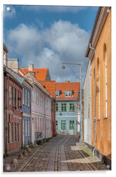 Helsingor Narrow Street View Acrylic by Antony McAulay
