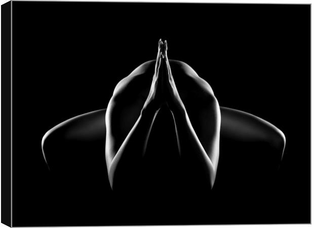Nude woman bodyscape 28 Canvas Print by Johan Swanepoel