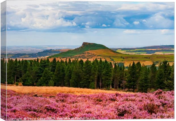Roseberry Topping - ...Roseberry and Pines Canvas Print by Trevor Camp