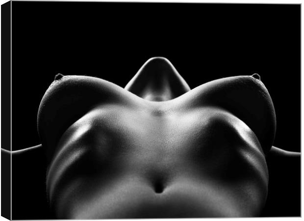 Nude woman bodyscape 29 Canvas Print by Johan Swanepoel