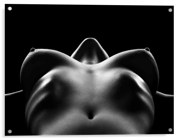 Nude woman bodyscape 29 Acrylic by Johan Swanepoel