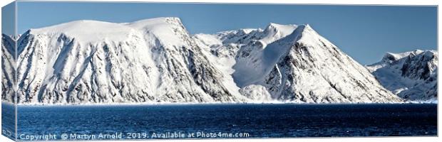 Arctic Panorama Canvas Print by Martyn Arnold