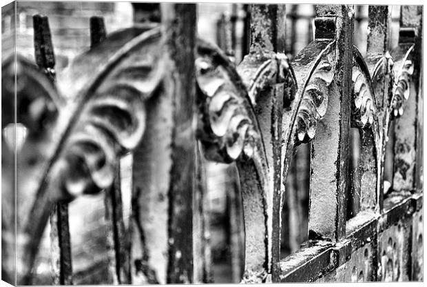 The Iron Gate in Black and White Canvas Print by Lauren Meyerink