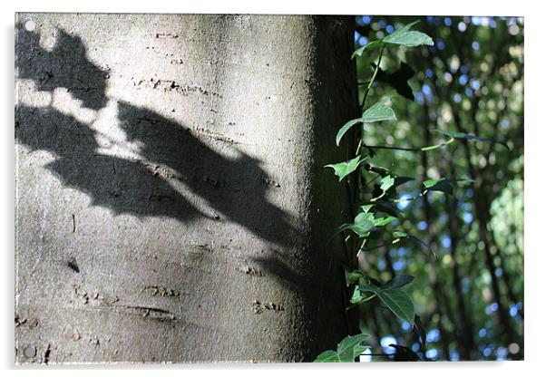 Holly shadow Acrylic by John Black