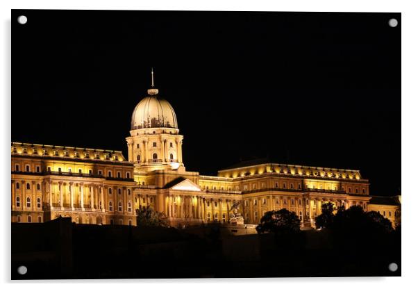 Budapest royal castle by night Acrylic by goce risteski