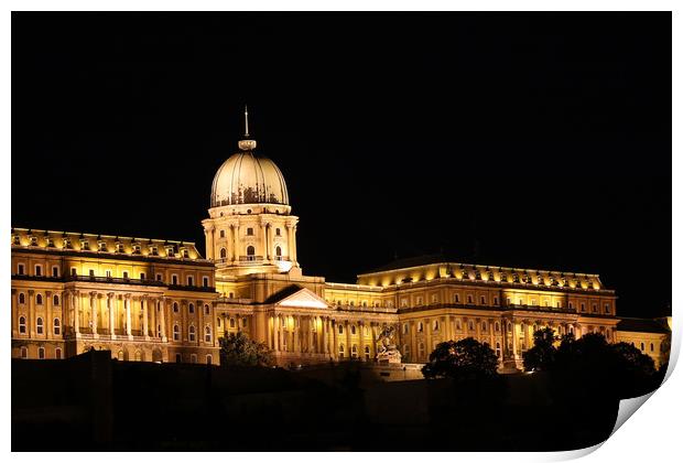 Budapest royal castle by night Print by goce risteski