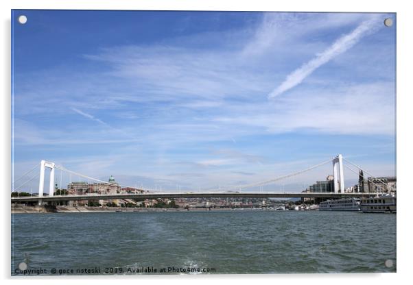 Elisabeth bridge over Danube river Budapest Acrylic by goce risteski