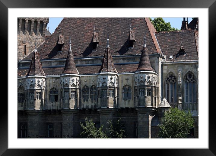 old castle wall detail Budapest Framed Mounted Print by goce risteski