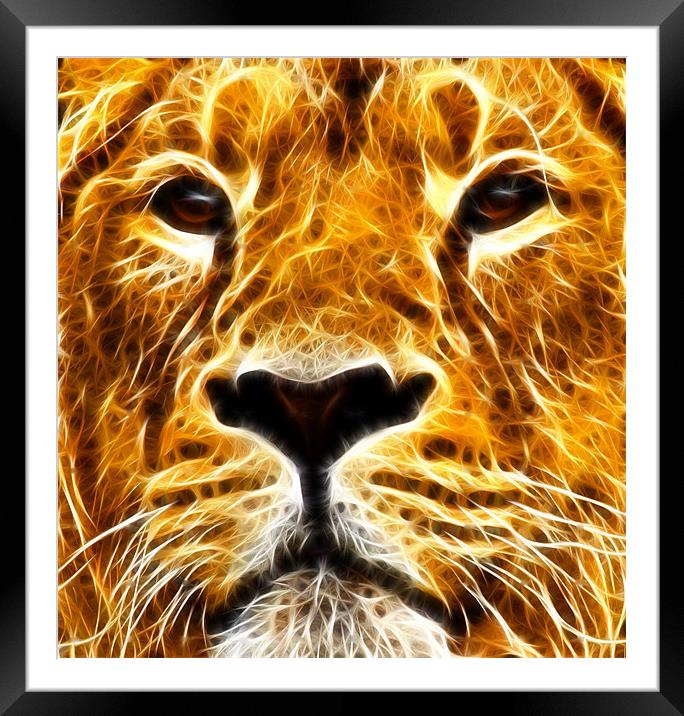 A Proud Stare ~ Fractal ~ Framed Mounted Print by Sandi-Cockayne ADPS