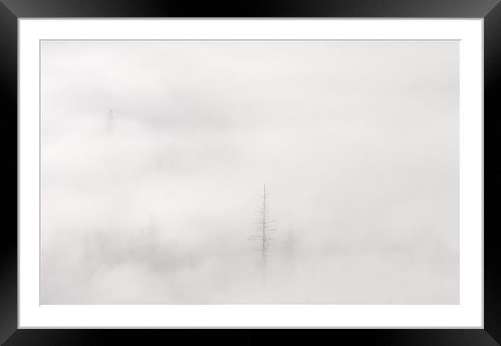 Above the Clouds Framed Mounted Print by Mike Dawson