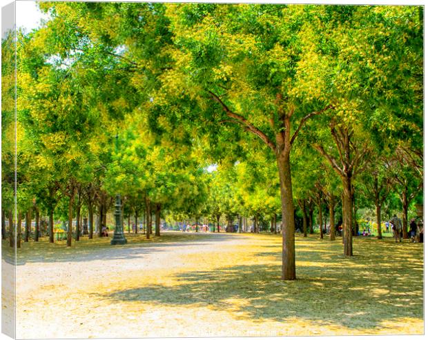 A Walk in the Park Canvas Print by Antony Atkinson