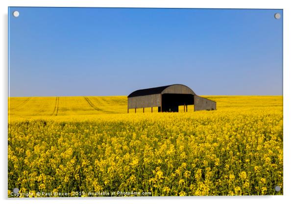 Dutch Barn Sixpenny Handley Acrylic by Paul Brewer