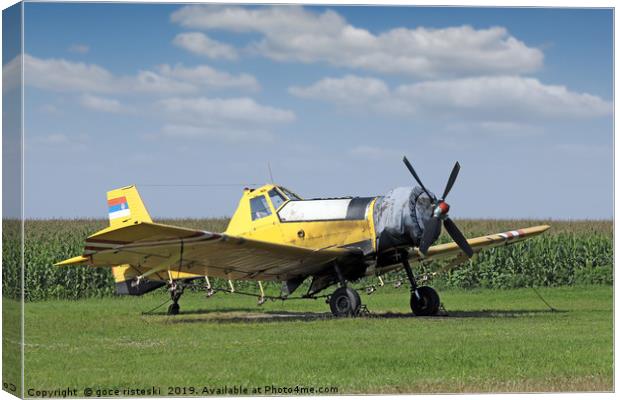 crop duster airplane on airfield Canvas Print by goce risteski