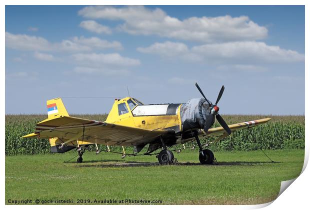 crop duster airplane on airfield Print by goce risteski