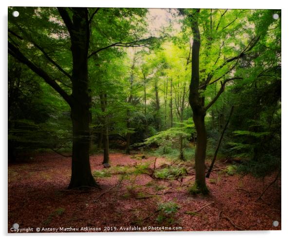 Woodland Forest Acrylic by Antony Atkinson