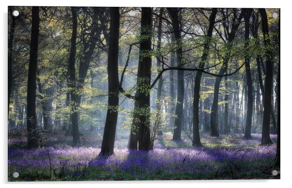 Spring Woodlands Acrylic by Ceri Jones