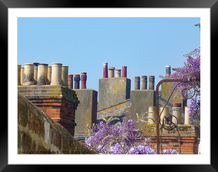 Chimney Pots  Framed Mounted Print by Antoinette B