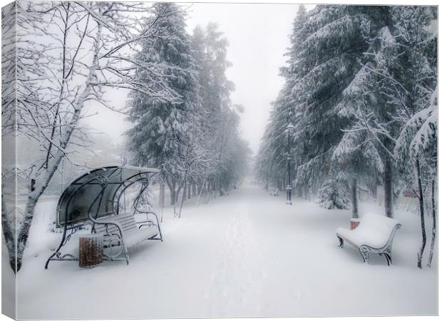 Snow-covered city alley in a cloudy day Canvas Print by Dobrydnev Sergei