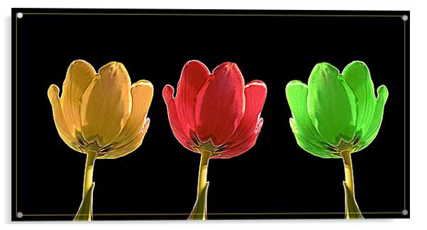 Tulips Acrylic by Brian Beckett