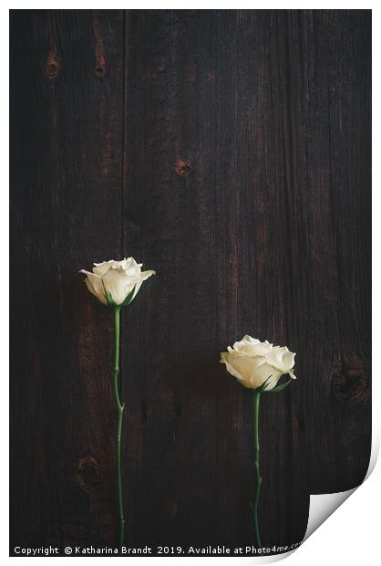 Two Roses on Wooden background Print by KB Photo