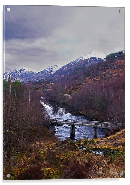 Glen Affric Scotland Acrylic by Jacqi Elmslie