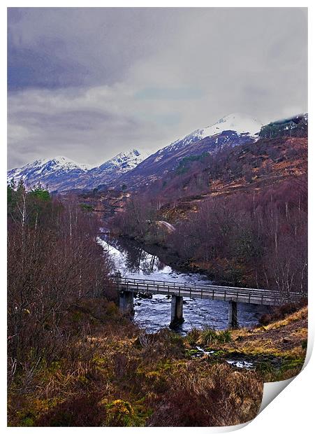 Glen Affric Scotland Print by Jacqi Elmslie