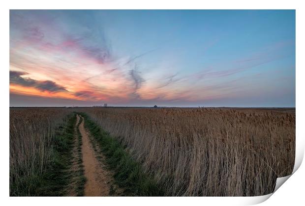 Lingering colours of sunset at Thornham Print by Gary Pearson