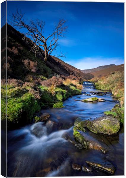 Fairbrook Derbyshire Canvas Print by Stephen Conway