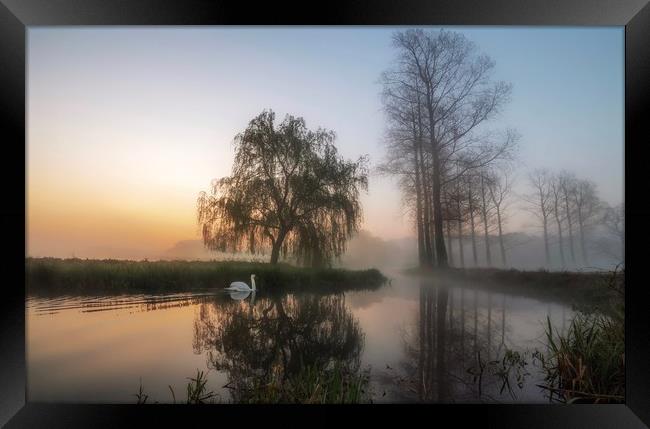 Early morning mist on the commute to Bintree mill  Framed Print by Gary Pearson