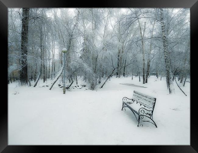 Snow-covered city park with a lonely bench Framed Print by Dobrydnev Sergei