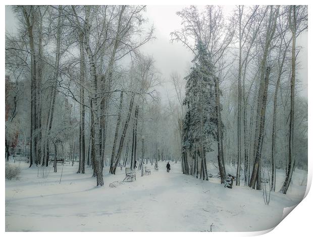 Snow-covered city park with a lonely passer Print by Dobrydnev Sergei