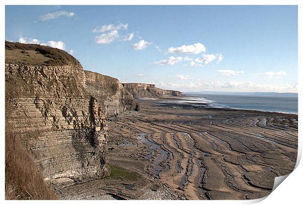 Heritage Coast Print by Brian Beckett