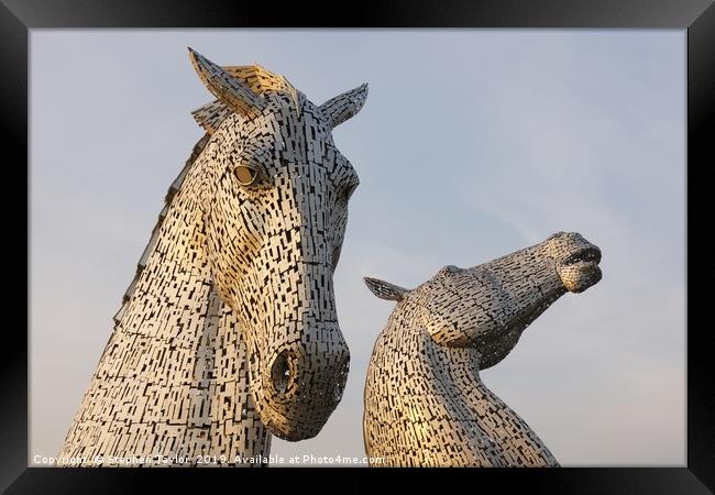 The Kelpies Framed Print by Stephen Taylor